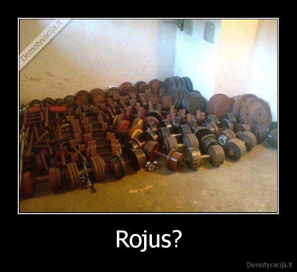 Rojus?