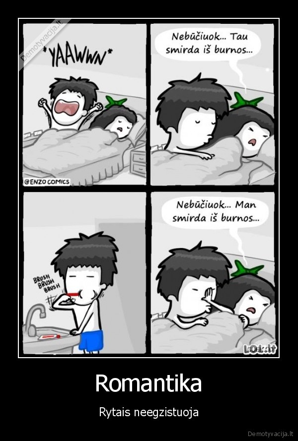 blogas, burnos, kvapas,smirda, is, burnos