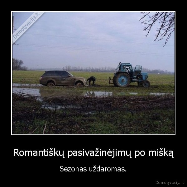 miskas,bala,keliai,paneles