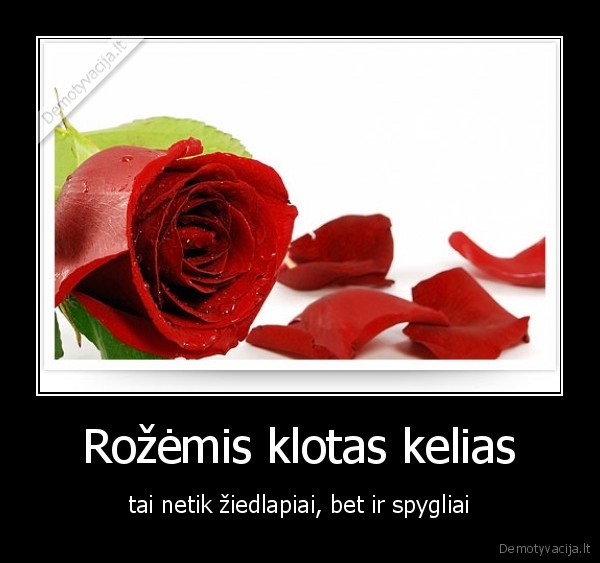 rozes,spygliai,nesekmes