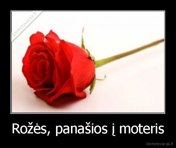 rozes,moterys