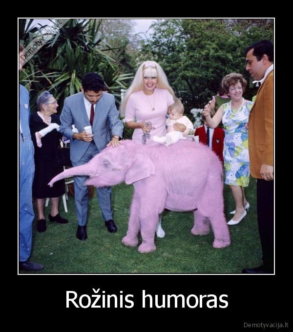 Rožinis humoras