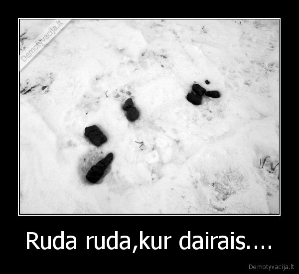 Ruda ruda,kur dairais....