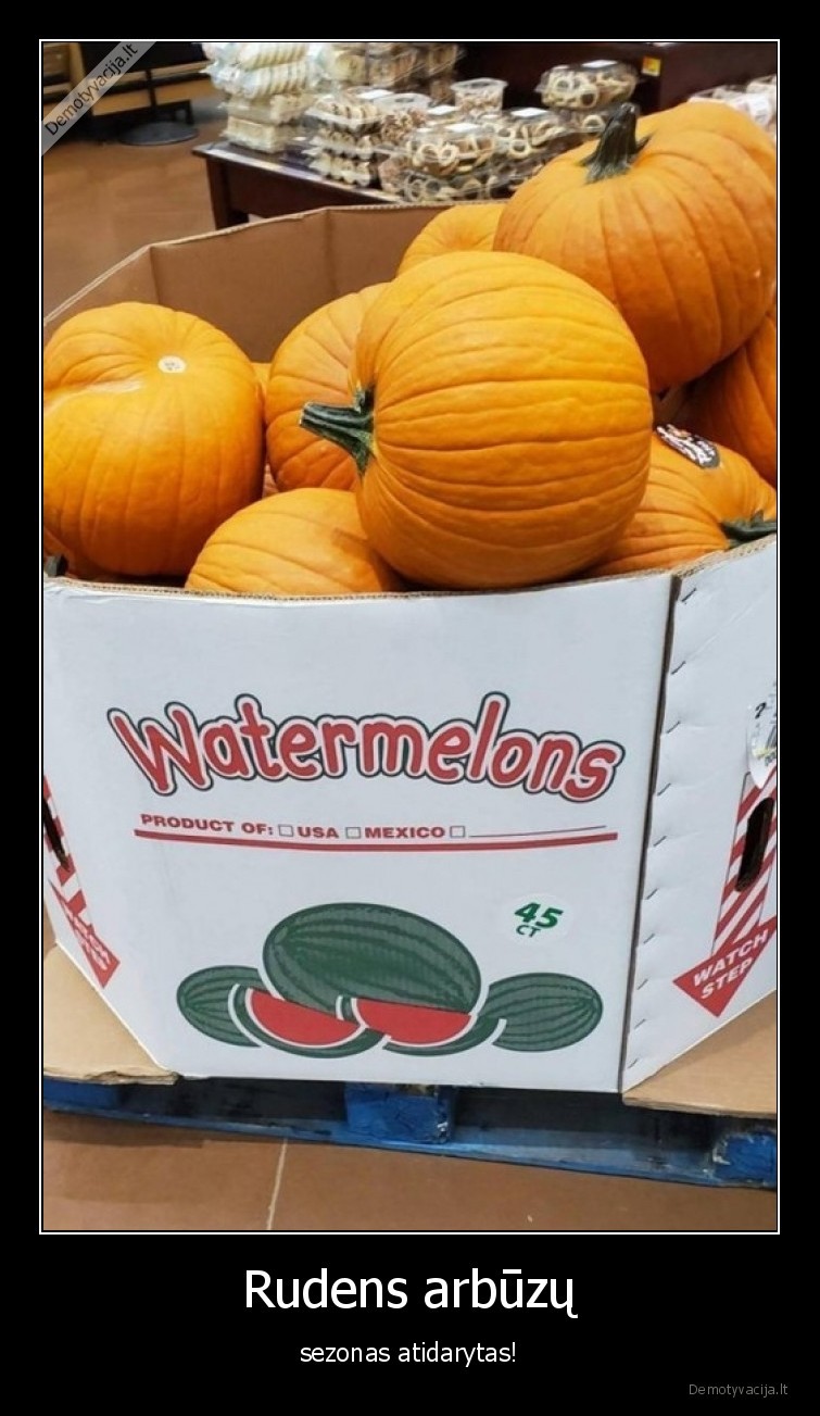 arbuzai,moliugai,sezonas,ruduo