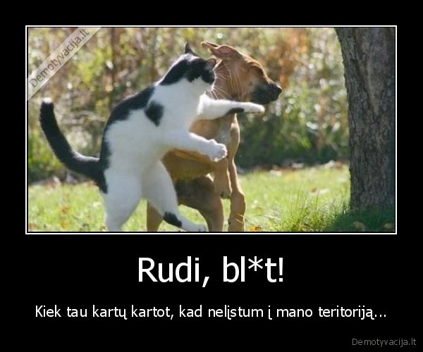Rudi, bl*t!