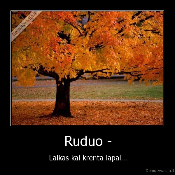 Ruduo -