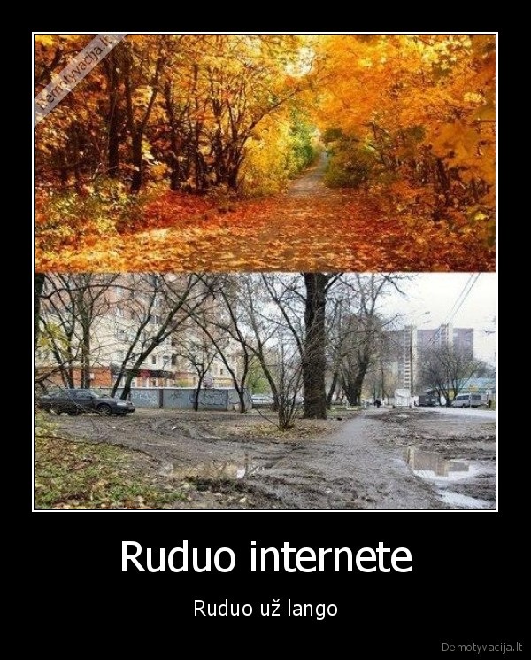 ruduo,internetas,langas
