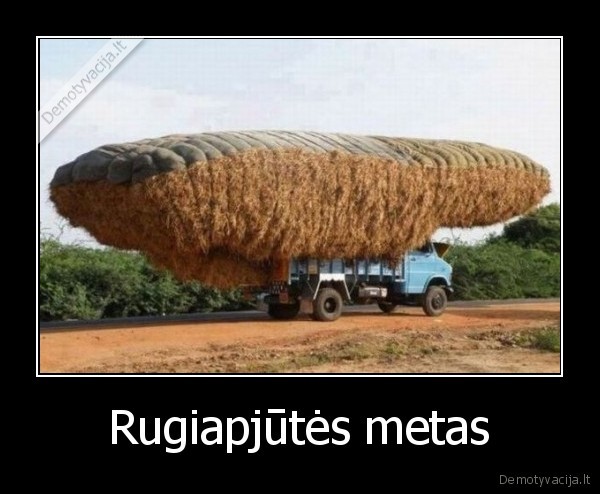 Rugiapjūtės metas
