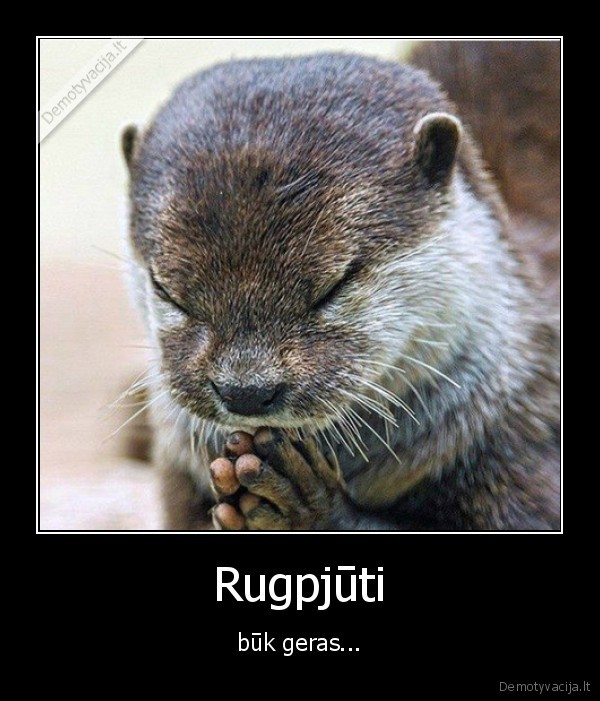 Rugpjūti