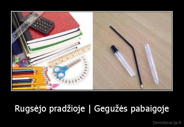 mokslo, metai,mokslo, inventorius