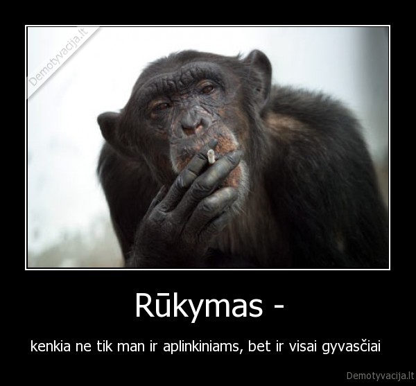 Rūkymas -