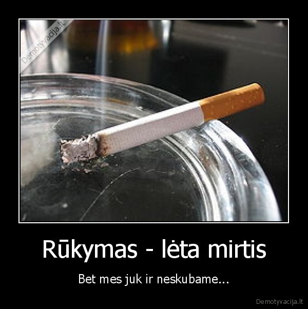 kaledos, nauji, metai, papai, kaciukas