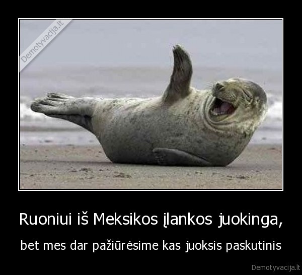 ruonis,meksikos, ilanka,ruonis, is, meksikos, ilankos,juoksis, paskutinis,juokas