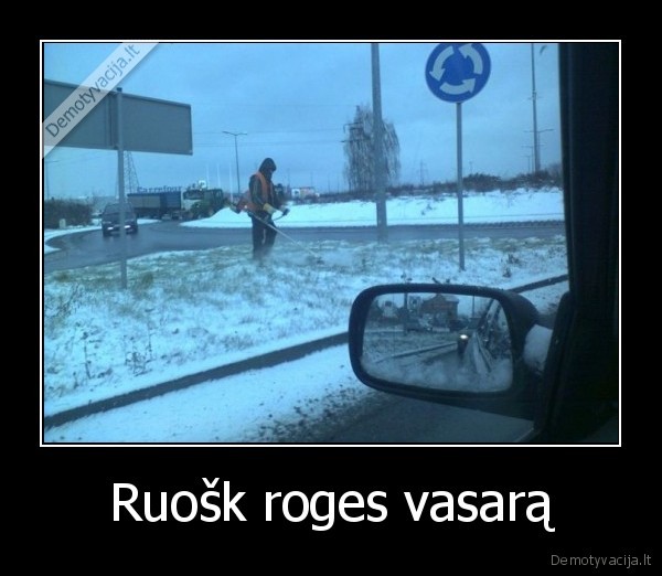 Ruošk roges vasarą