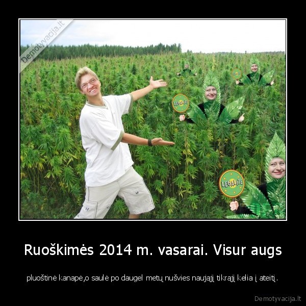 valio,tautai,zmonem,jaunimas,ateitis,jie,sau,ateiti,kurs,kanape,medicina