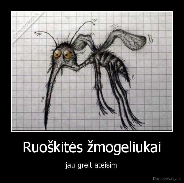 uodai,orai,pavasaris