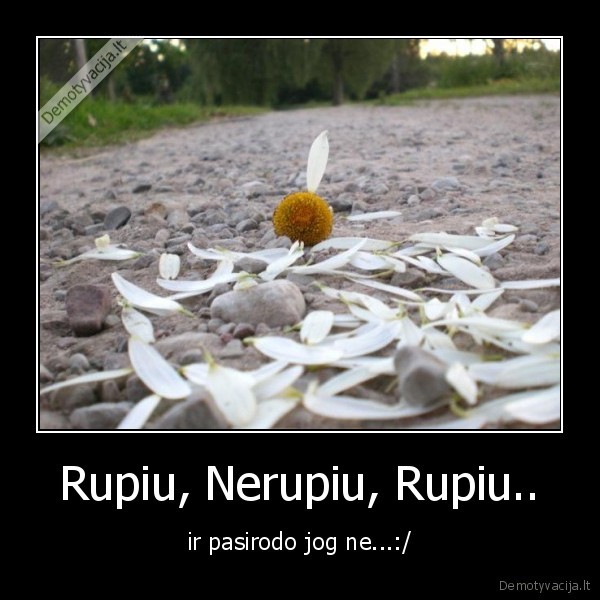 nerupiu