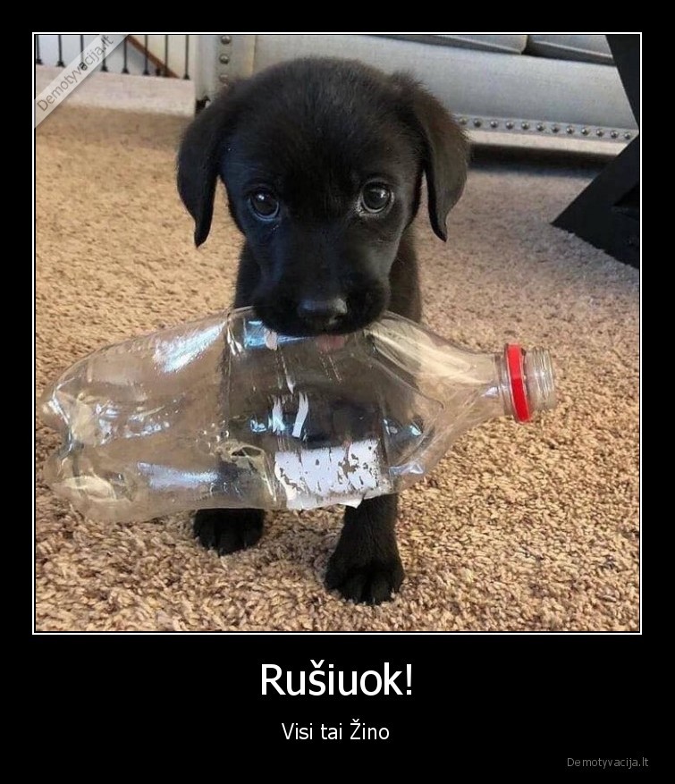 Rušiuok!