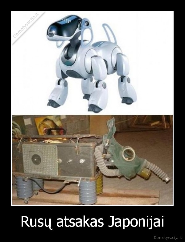 Rusų atsakas Japonijai