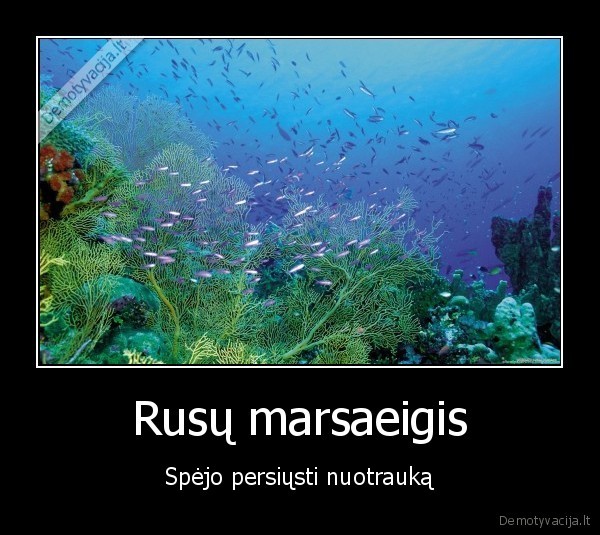 marsas,nasa,kosmosas,tyrimai