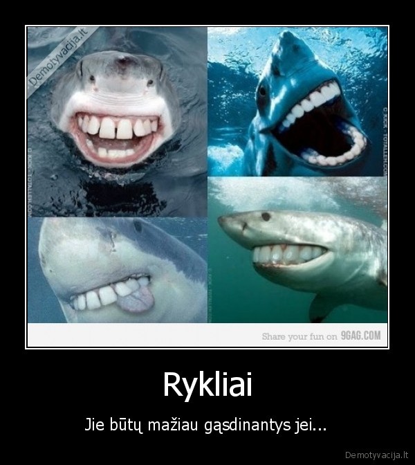 rykliai, dantys