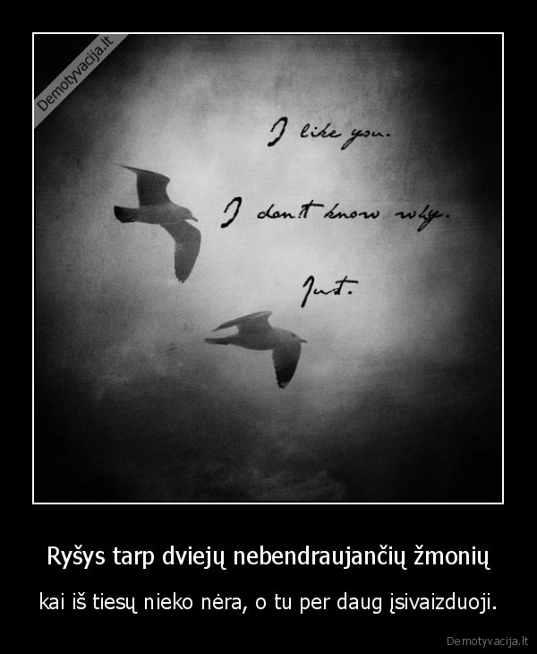 rysys,morcius,svajone,duztantys, perlai,zdz, sudo, kruva