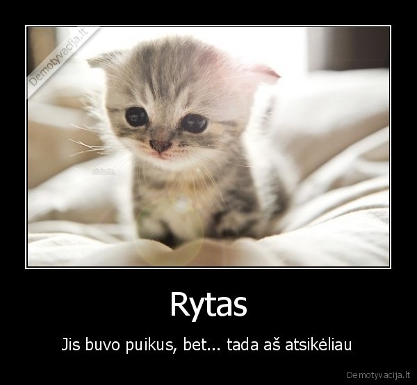 rytas