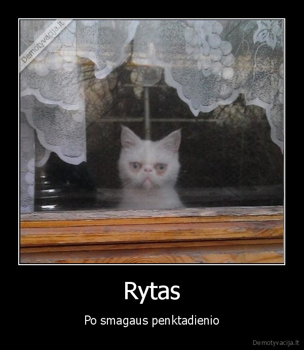 raudonos, akys,uzgere