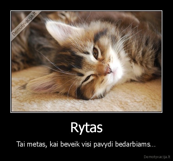 Rytas