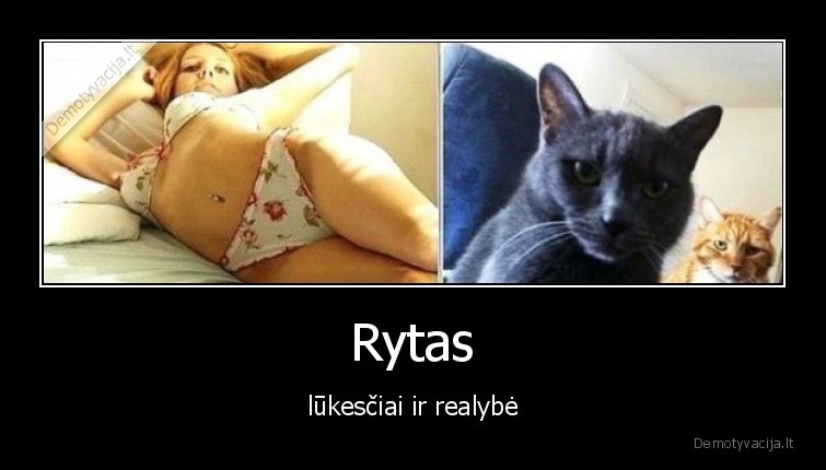 katinas,mergina,rytas