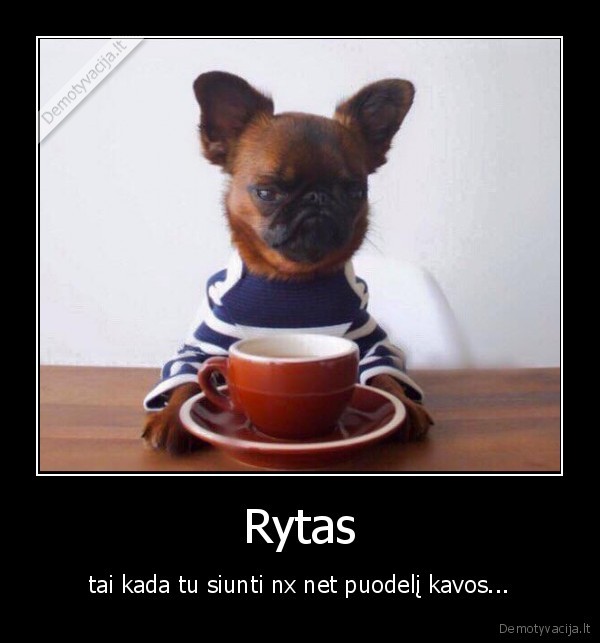 rytas,siunti