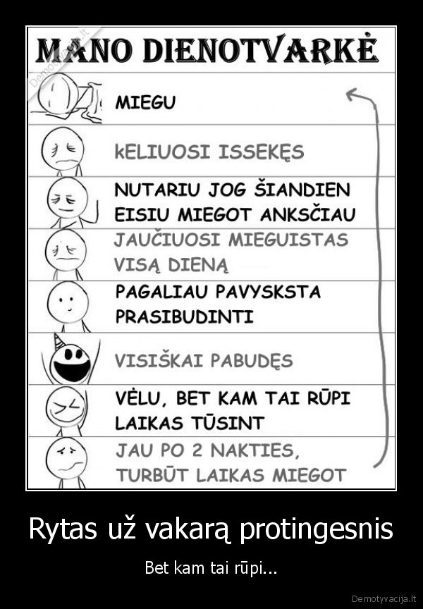 dienotvarke,rytas,vakaras,protingesnis