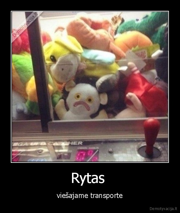 rytas,autobusai,troleibusai