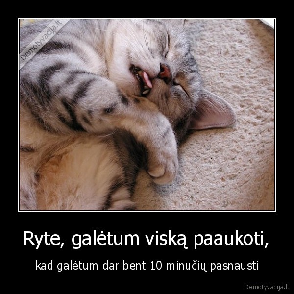 Ryte, galėtum viską paaukoti,