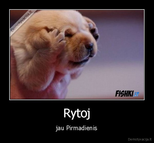 Rytoj