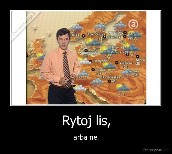 Rytoj lis,
