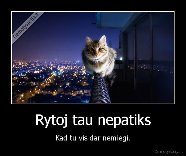 miegas,rytas,vakaras