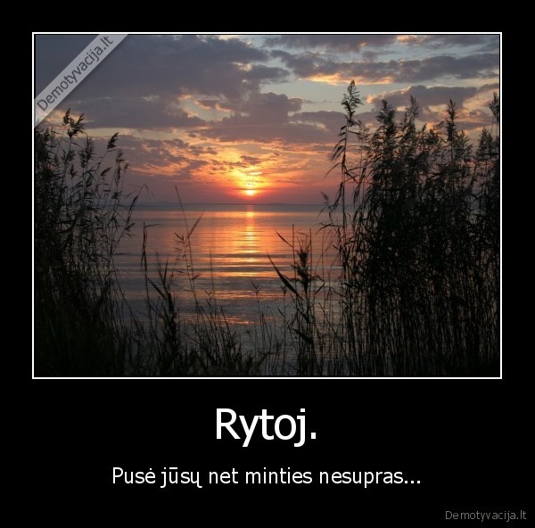 rytoj