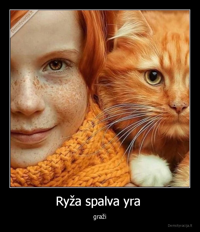 ryza,plaukai,vaikas,katinas,grazu