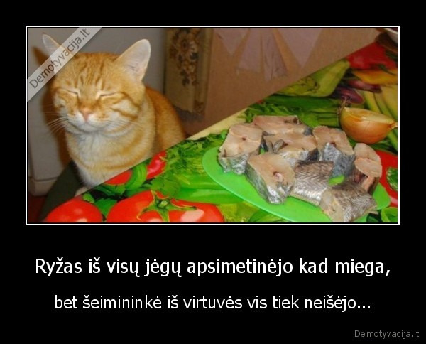 Ryžas iš visų jėgų apsimetinėjo kad miega,