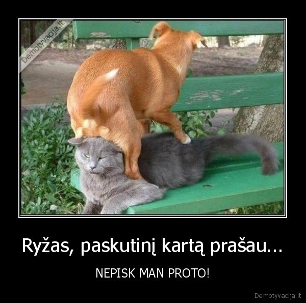 Ryžas, paskutinį kartą prašau...