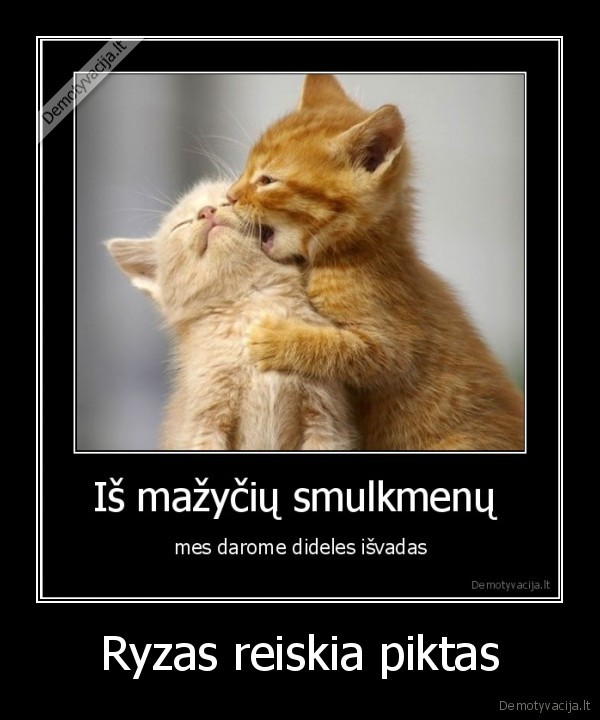 Ryzas reiskia piktas