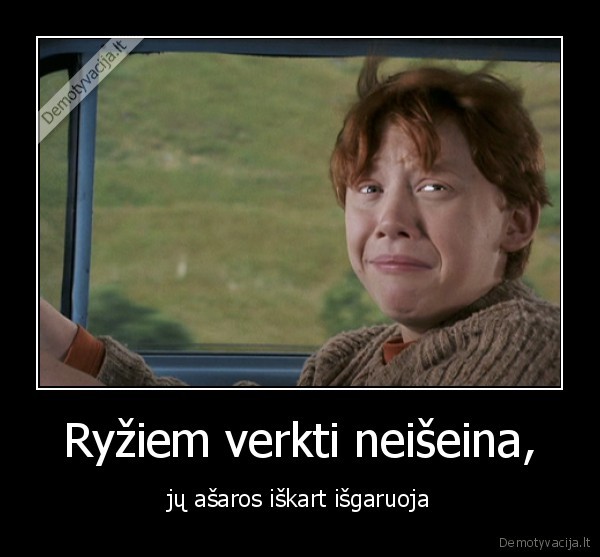 ryzas,ginger,nevykelis,kedys,kubilius,asaros,verkti