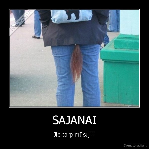 sajanas,songokas,uodega,filmukai