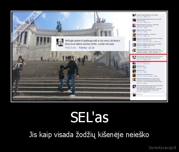SEL'as