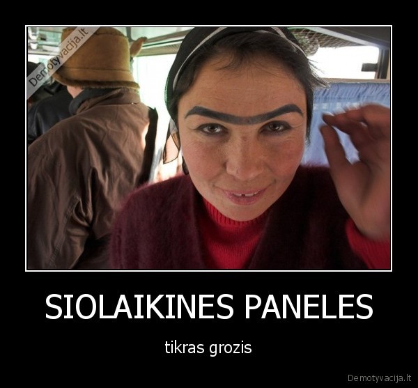 SIOLAIKINES PANELES