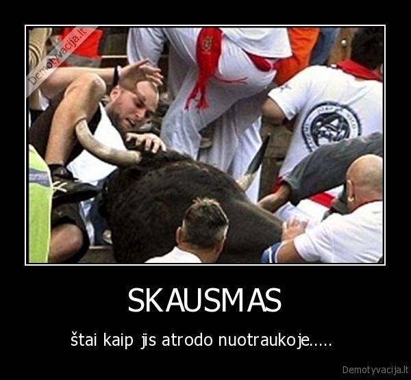 bulius,korida,skausmas,kancia
