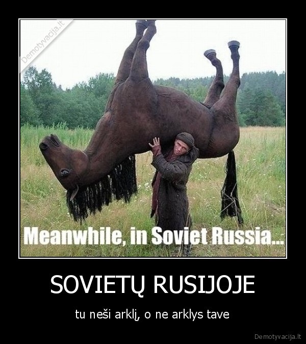 sovietu, rusijoje,arklys,prie, ruso, geriau, buvo