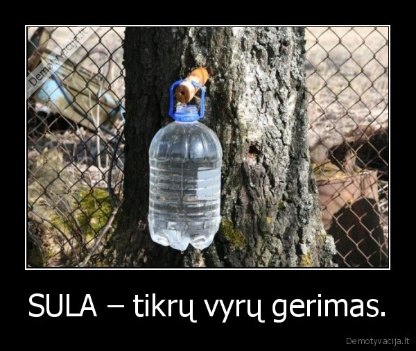 SULA – tikrų vyrų gerimas.