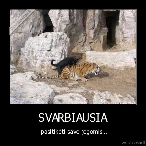 pasitikejimas,suo,seksas